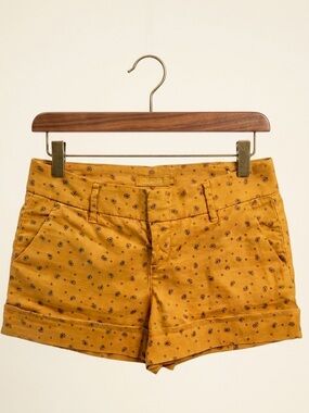 Level 99 Shorts